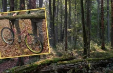 Notorycznie kradł drewno z lasu. Leśnicy pokazali "specjalny" rower przystosowan