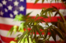 Badanie: Legalizacja marihuany w USA nie zachęca młodzieży do jej używania