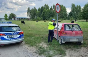 Pościg policyjny za 11-latkiem. Chłopiec ukradł samochód