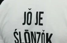 Język śląski w Tłumaczu Google. Czyli jednak język