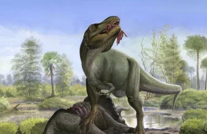Dlaczego słynny tyranozaur miał tak krótkie przednie łapy?