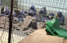 W izraelskim areszcie palestyńscy więźniowie przebywają w strasznych warunkach