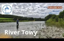 River Towy - Wędkarstwo muchowe w UK