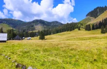 Dolina Chochołowska, piękna dolina w Tatrach