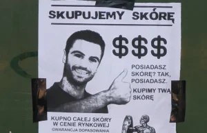 Pandemia Strachu - Pieśń Czarnego Łabędzia