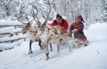 "Efekt Świętego Mikołaja". Magia Laponii zagrożona przez turystów?