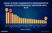 Struktura rynków UE. U kogo energetyczny monopol?