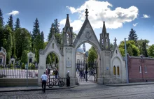 Senator KO apeluje do Tuska o ułatwienia dla imigrantów