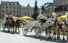 Dorożki nie wyjadą na Rynek Główny w Krakowie