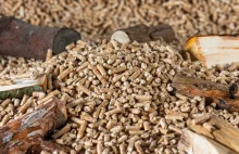 Zakazują węgla i gazu, teraz przyszła kolej na polski pellet?