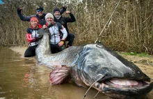 Nowy REKORD ŚWIATA złowiony w Polsce! Największa ryba w historii. Sum 292cm