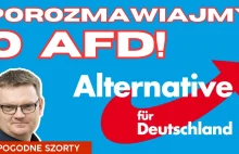 AfD czyli pluralizm po niemiecku