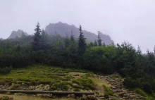 Sarnia Skała w Tatrach, wycieczka z Zakopanego