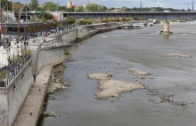 Dramatyczny stan wody w Wiśle. Absolutny rekord!