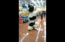 Supermarket cow Milk Shake dance - Tik Tok challenge