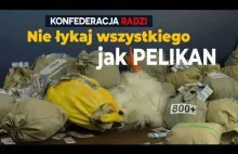 Konfederacja radzi: Nie łykaj wszystkiego jak pelikan!