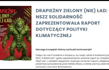 Ekonomiczny raport ekspertów pt. "Drapieżny Zielony (NIE) Ład"