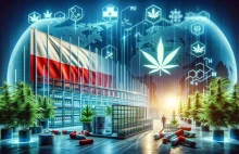 Curaleaf International przejmuje Can4Med - polską hurtownię medycznej marihuany
