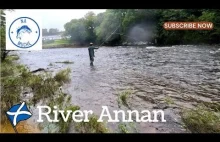 River Annan - Szkocja - Wędkarstwo muchowe w UK - YouTube
