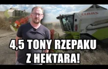 160 hektarów i zbiór rzepaku po godzinach. Opolskie pokazuje moc!