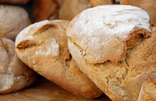Obalamy mity #10: Chleb to zło! | Blogujmy24.pl