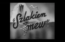 Szlakiem mew (1938) dokumentalny