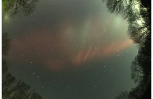 Piękna zorza polarna nad Polską | Urania - Postępy Astronomii