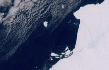 Film ukazujący proces odłamywania się góry lodowej na Antarktydzie.