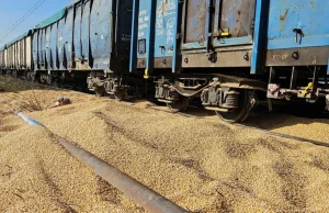 Kukurydza wysypana z wagonów w Kotomierzu. Wiemy, gdzie miała trafić