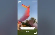 Pilot dies after plane crashes during gender reveal party in Mexico - YouTube