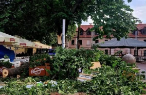 Potężny konar spadł na ludzi na rynku w Zamościu. Są ranni