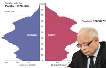 Polska pilnie potrzebuje strategii demograficznej [opinia]