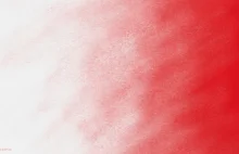 Śpiew ponad wszystko! - Tomasz Miller o 11 listopada