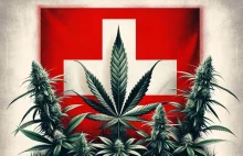 Legalizacja marihuany w Szwajcarii: W Lozannie otwiera się pierwszy sklep z kono