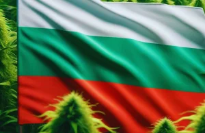 Bułgaria odrzuciła ustawę o przetwarzaniu konopi przemysłowych