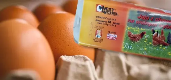Wykrycie bakterii Salmonella spp. w partii jaj nie spożywać!