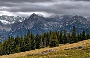 Tatry będą wyglądać nie do poznania. Pożegnajmy się ze świerkowymi lasami