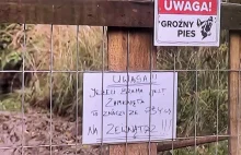 Areszt dla właściciela psów ze strzelnicy, które pogryzły na śmierć 46-latka