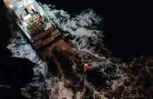 Atak orek u wybrzeży Portugalii: rodzina z dziećmi cudem uratowana. Dlaczego ork