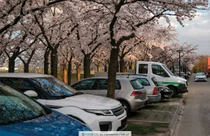 Podwyżka opłat nie spowoduje zwiększenia rotacji miejsc parkingowych I Rynek I k