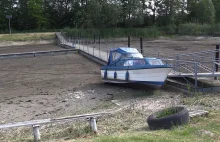 Wody Polskie doprowadziły do katastrofy ekologicznej w starorzeczu Noteci
