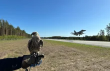 MIGi i F-16 startują z drogi