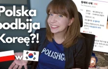 Polski film hitem w koreańskich kinach? Polska nareszcie doceniona w Korei