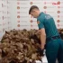 Celnicy przyłapali turystów z Moskwy na przemycie ponad 10 tys. lisich ogonów