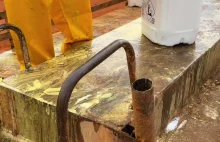 pszenicę i soję pryskamy w Brazylii (grupa Mercosur) Blindano