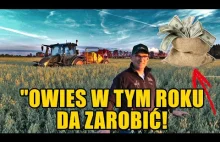 Zrezygnował z buraka cukrowego na rzecz grochu, aby nie niszczyć gleby!