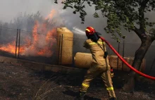 70 pożarów w Grecji. Fala upałów zbiera śmiertelne żniwo