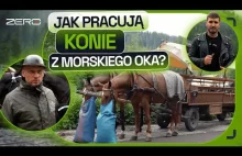 KTO MA RACJĘ W SPORZE O KONIE WOŻĄCE TURYSTÓW DO MORSKIEGO OKA?