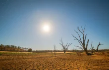 Ryzyko powstania w najbliższych miesiącach fenomenu pogodowego El Nino wzrasta