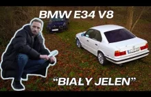 Czy to jest syn Wazzup'a?